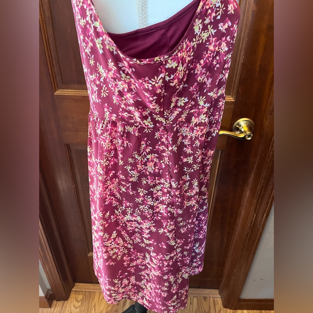 Express Dress - Picture 3 of 4
